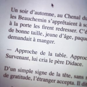 Page du roman "Le Survenant" (détail)